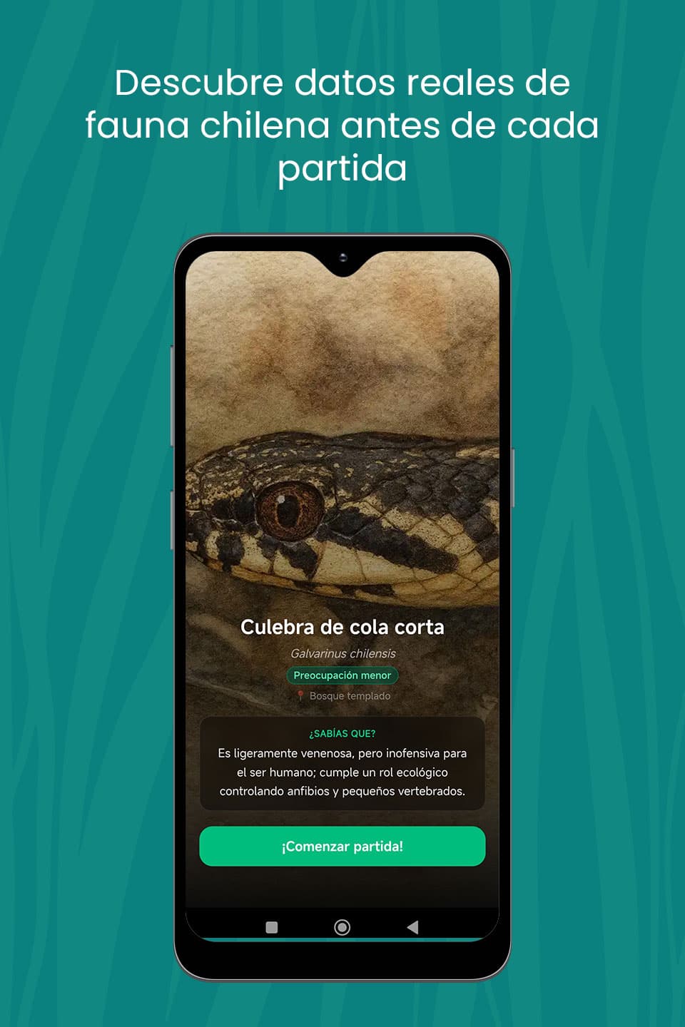 Feed de la comunidad
