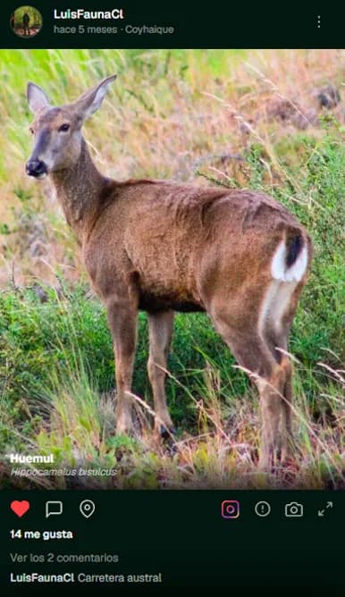 La ficha de una especie en la app