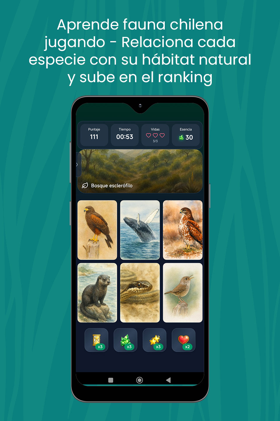 Aprende fauna chilena jugando