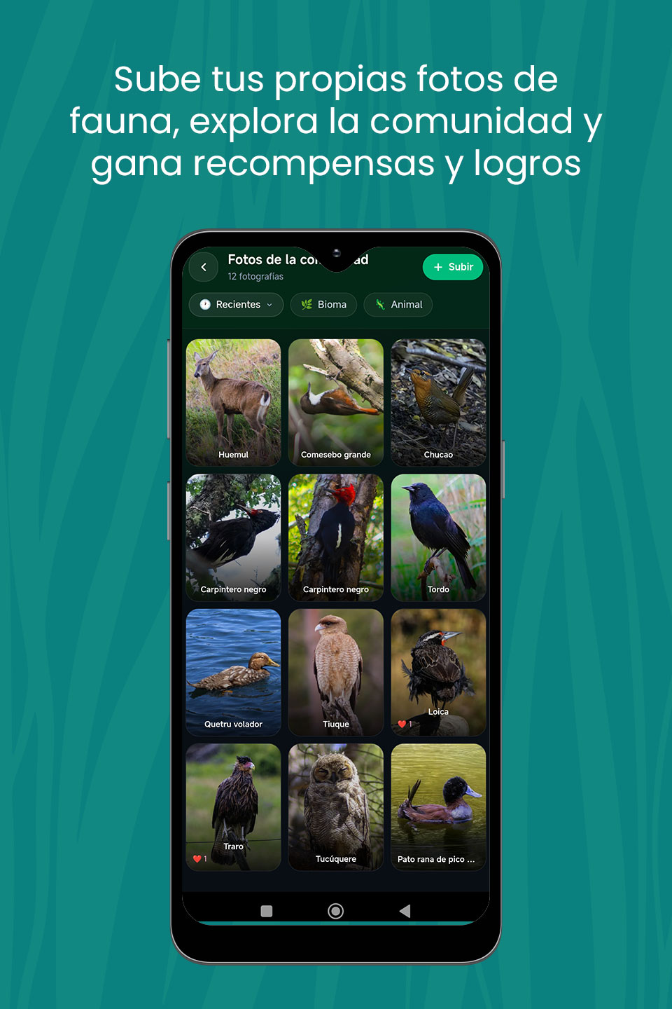 Sube tus fotos de fauna